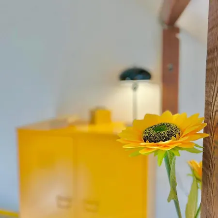 Yellow - Design For 3 - Alsace - Vosges Apartmán Masevaux-Niederbruck
