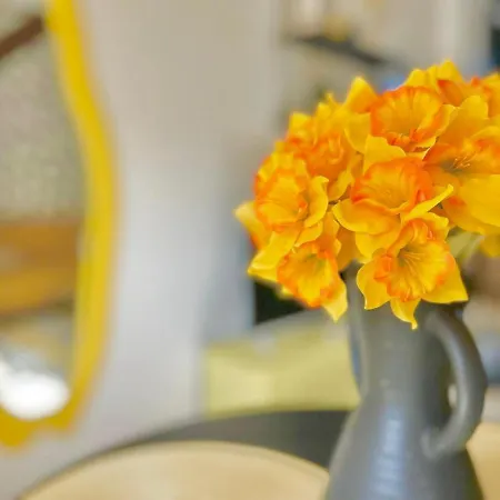 Appartement Yellow - Design For 3 - Alsace - Vosges Masevaux-Niederbruck