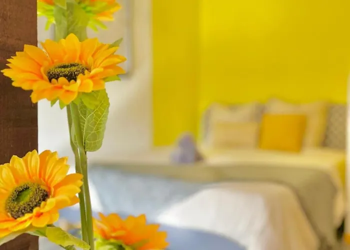 Yellow - Design For 3 - Alsace - Vosges Апартаменты *